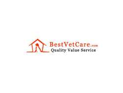 prevent-lyme-with-bravecto