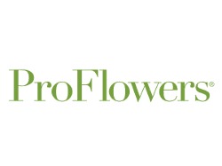save-10-on-modern-bouquets